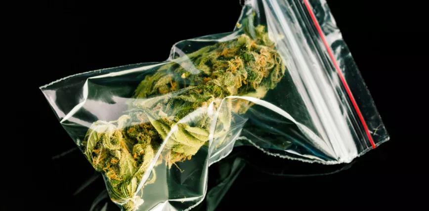 Otro territorio considera reducir las penas por llevar drogas: Nueva Gales del Sur 