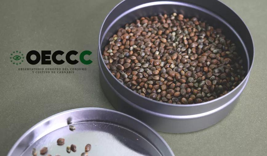 El Observatorio Europeo del Cannabis critica la criminalización del sector cannábico