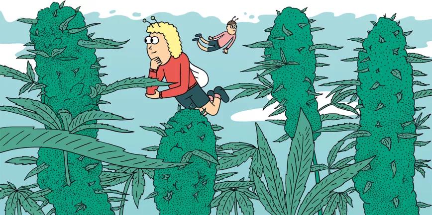 Nueve consejos para fertilizar las plantas 