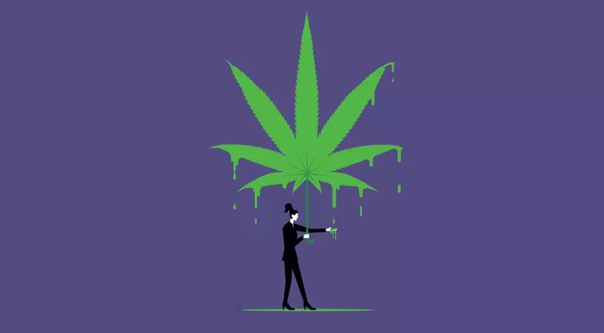 El CBD no es un narcótico Editorial 277