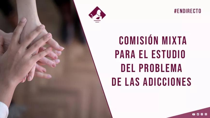 Comisión Mixta para el Estudio de los Problemas de las Adicciones