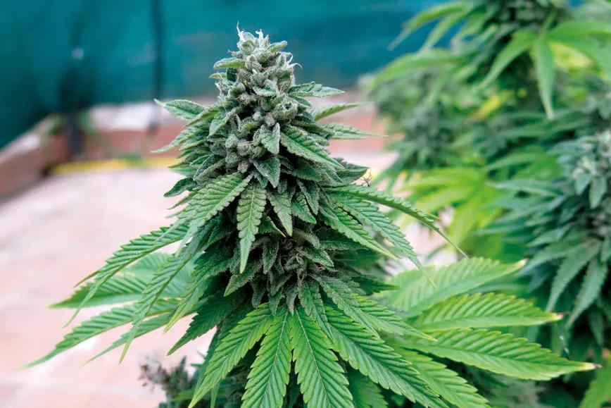 Planificación anual combinada: cómo sacar el mejor partido del espacio disponible