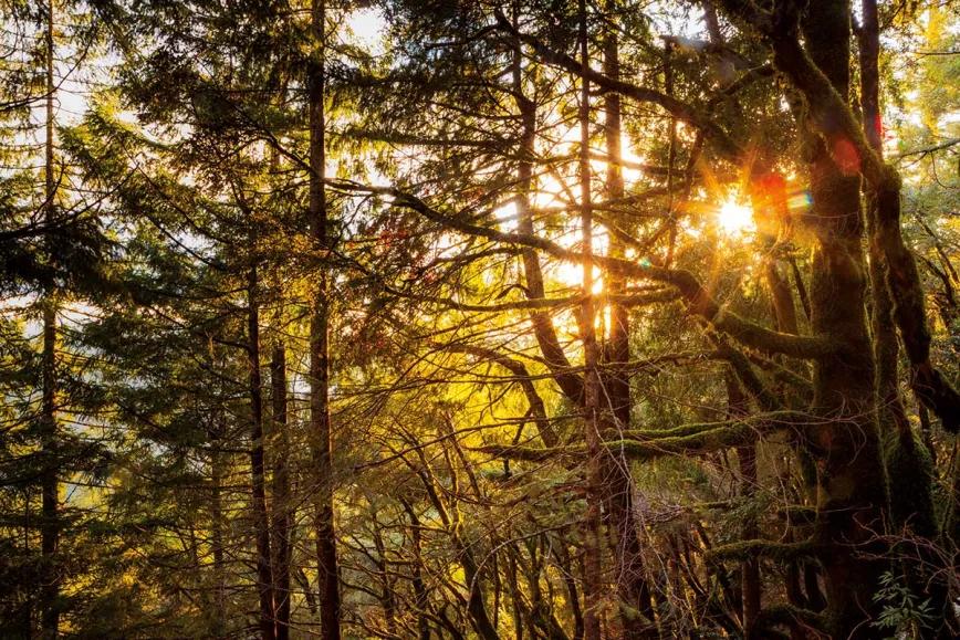 Últimas noticias de Mr. Blue, corresponsal en California 