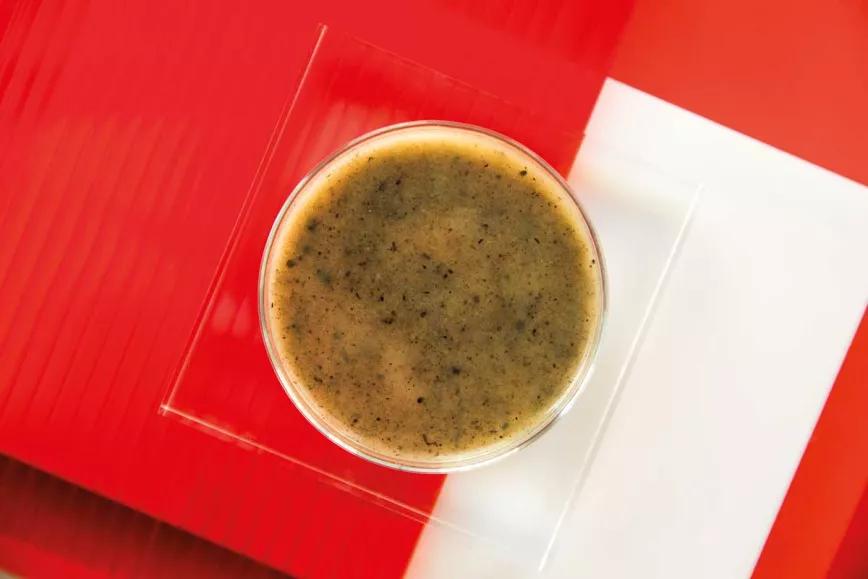 Mescalina, ¿la droga de los místicos? 