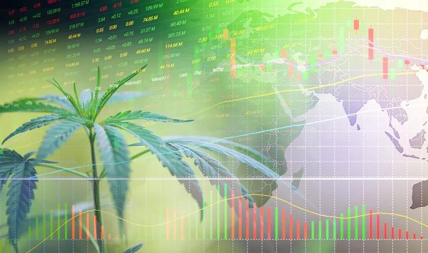 Las acciones de las empresas del cannabis cayeron en 2020