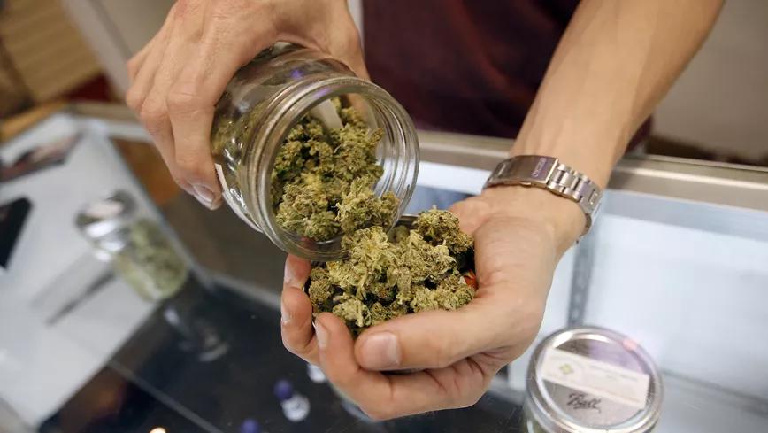 Juicio contra tres responsables de un club cannábico de Valladolid