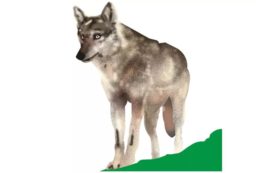 Medidas 109 y 110 ganan en Oregón 