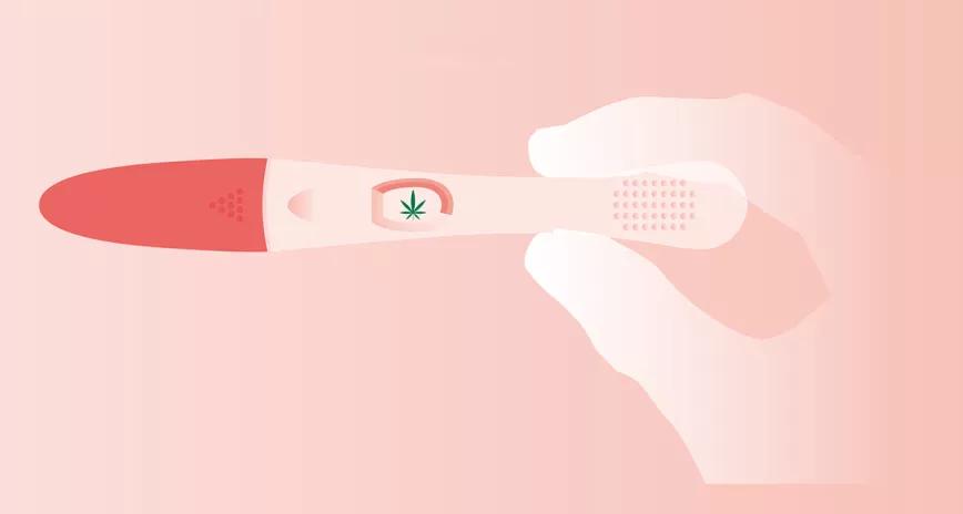 Cannabis y embarazo  José Carlos Bouso, Fundación Iceers 