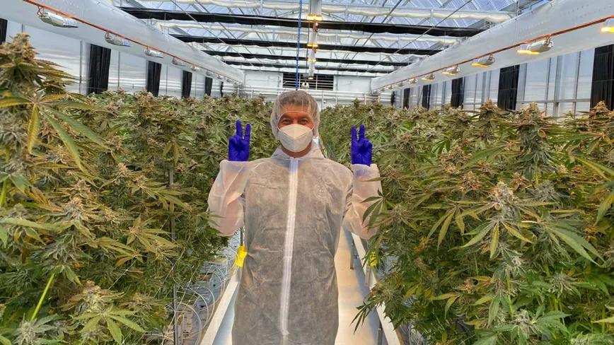 Australia cierra un contrato de exportación de cannabis a Alemania
