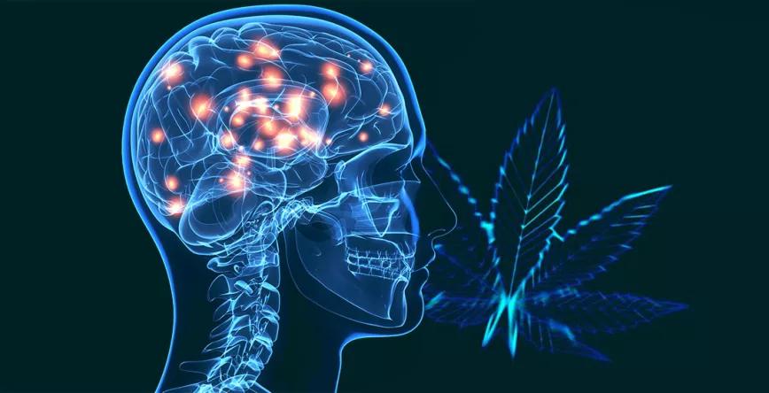 El 8% de los pacientes alemanes con párkinson usa cannabis según una encuesta