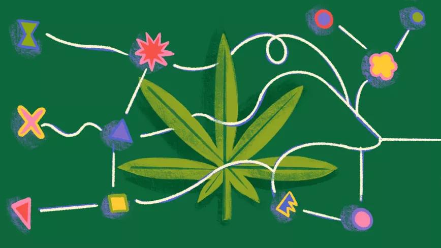 Los usuarios de cannabis parecen tener ideas empresariales más originales pero menos factibles