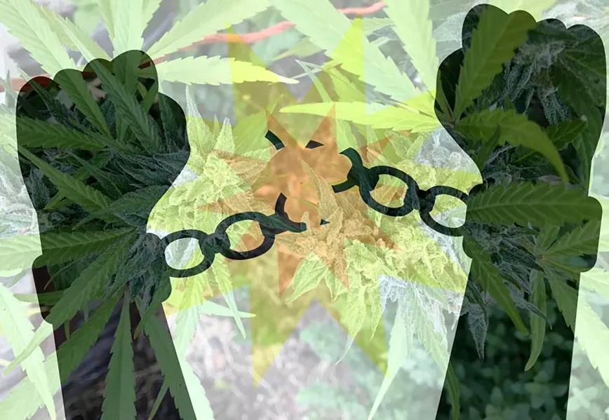 37 miembros del Congreso de EE UU piden a Biden que indulte a todos los condenados por cannabis