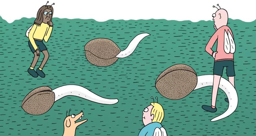 Diez consejos para la germinación y el primer crecimiento 