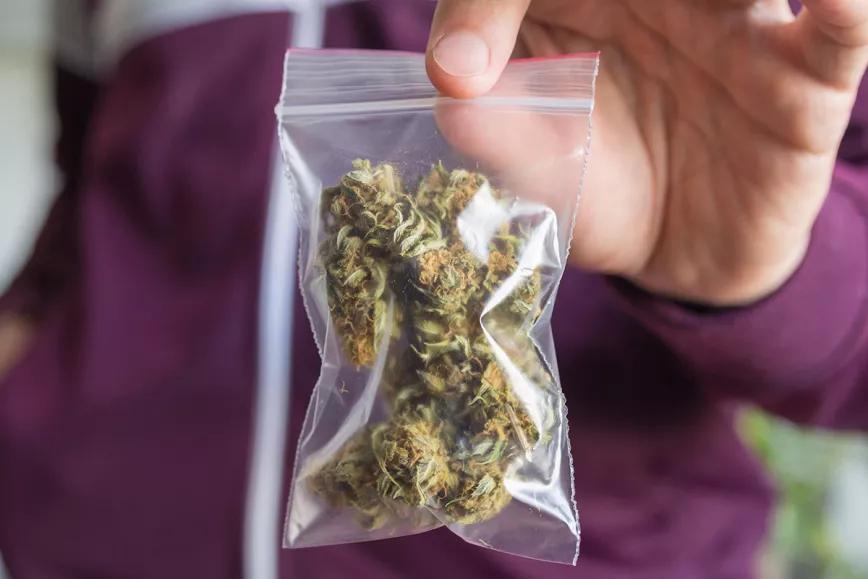 El 60% de la marihuana callejera de Madrid no es apta para consumo según un estudio