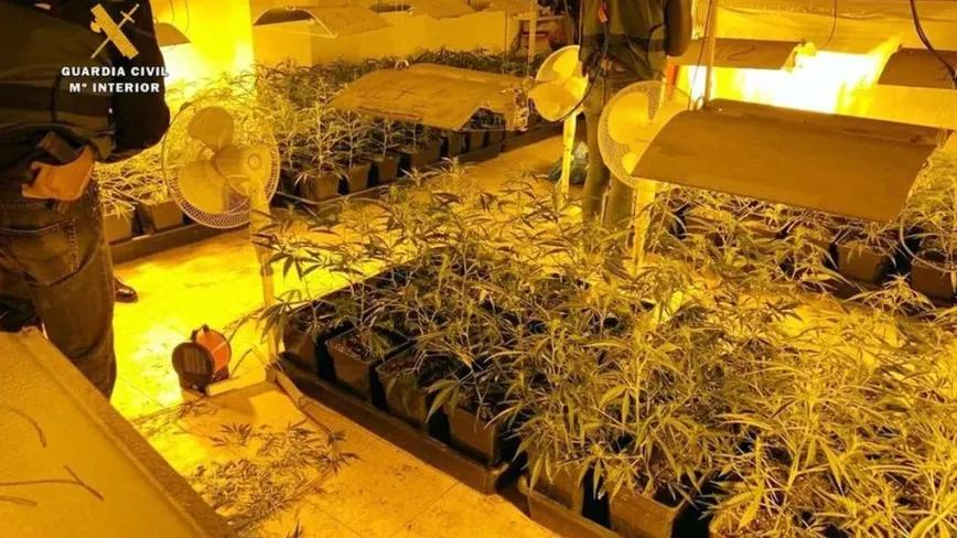 Absueltos los dos ex candidatos de Podemos que cultivaban cannabis