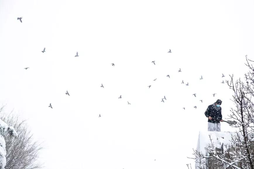 La Cañada Real prevaricación, estigma y aporofobia 