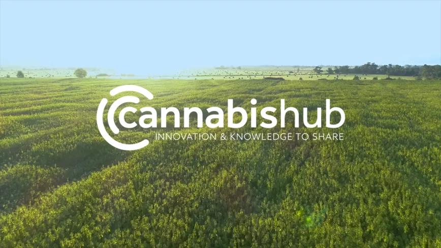 Presentan un centro para promover la investigación y producción de cáñamo