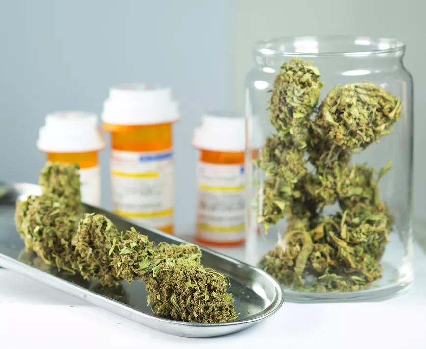 Pacientes italianos piden al ministro de Salud que mejore el acceso al cannabis medicinal