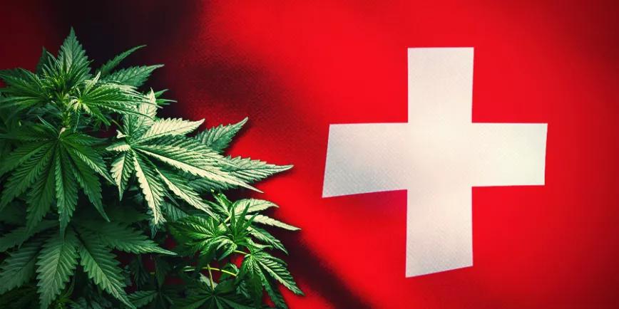 Suiza publica el borrador de ley para el programa de cannabis recreativo 