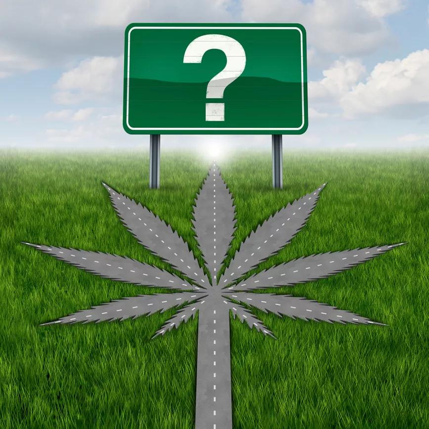 El Senado mexicano pide (de nuevo) una prórroga para aprobar la regulación del cannabis