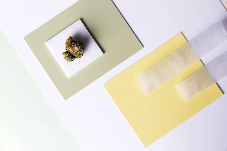 ¿Es la marihuana cada vez más potente? 