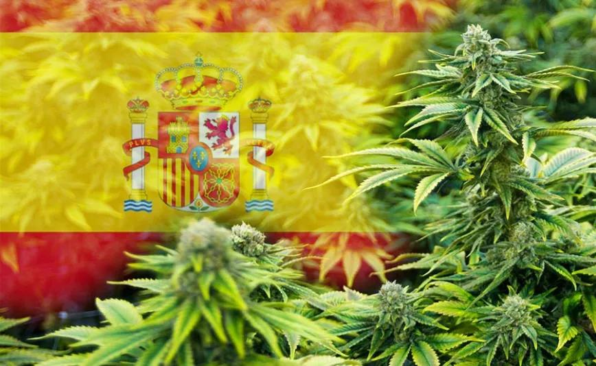 El Senado español incluye la proposición de ley para regular el cannabis en el Boletín del Senado 