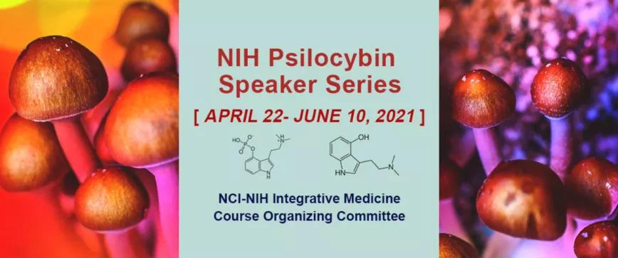 Una agencia federal de salud de EE UU organiza unas jornadas sobre los hongos psilocibios