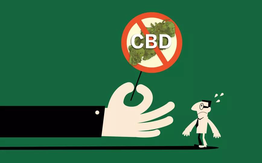 El gobierno más progresista de la historia reciente se justifica para prohibir las flores de plantas no psicoactivas basándose en una ley franquista aún vigente. ¿Cuanto tiempo van a esperar para derogar esta ley?