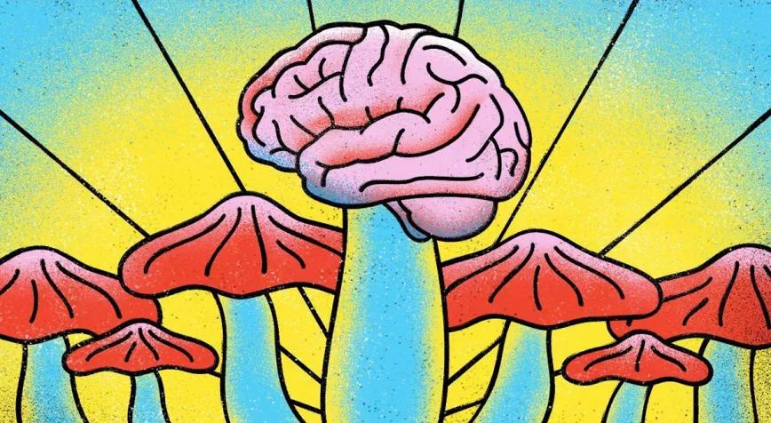 Un estudio con psilocibina concluye que es tan buen antidepresivo como el escitalopram