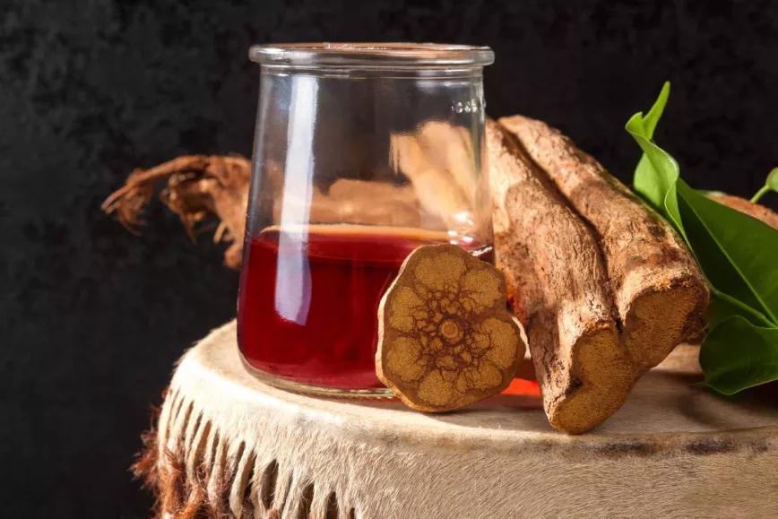 Una jueza absuelve a un hombre detenido por importar ayahuasca y dice que no es una sustancia fiscalizada