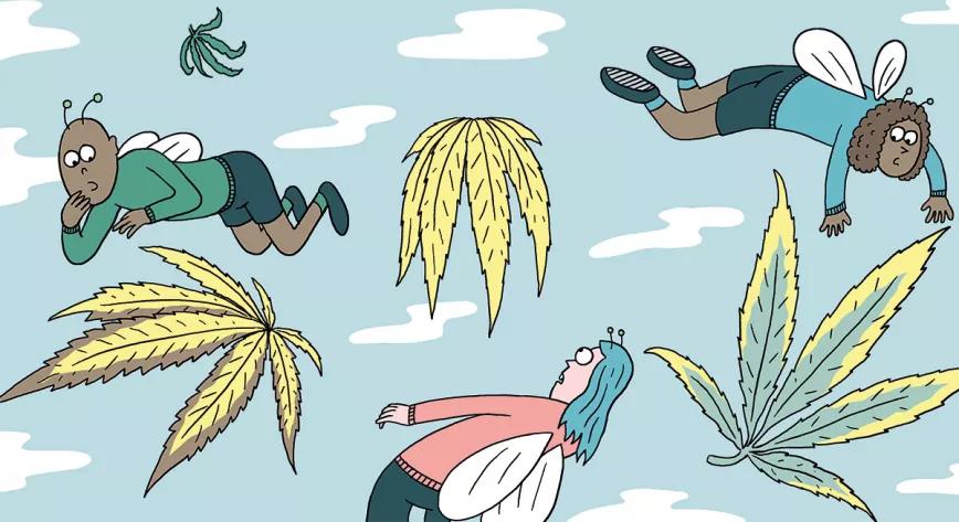 Los seis problemas más comunes del cultivo y sus soluciones 