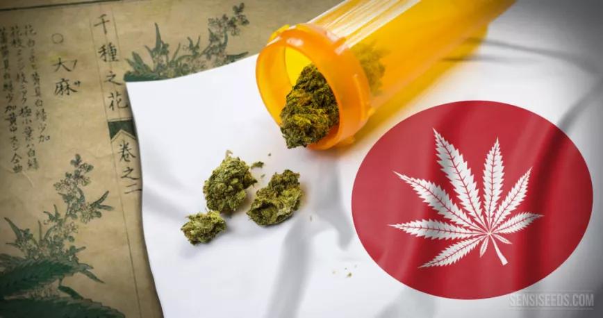 Japón prepara una regulación para el cannabis medicinal  