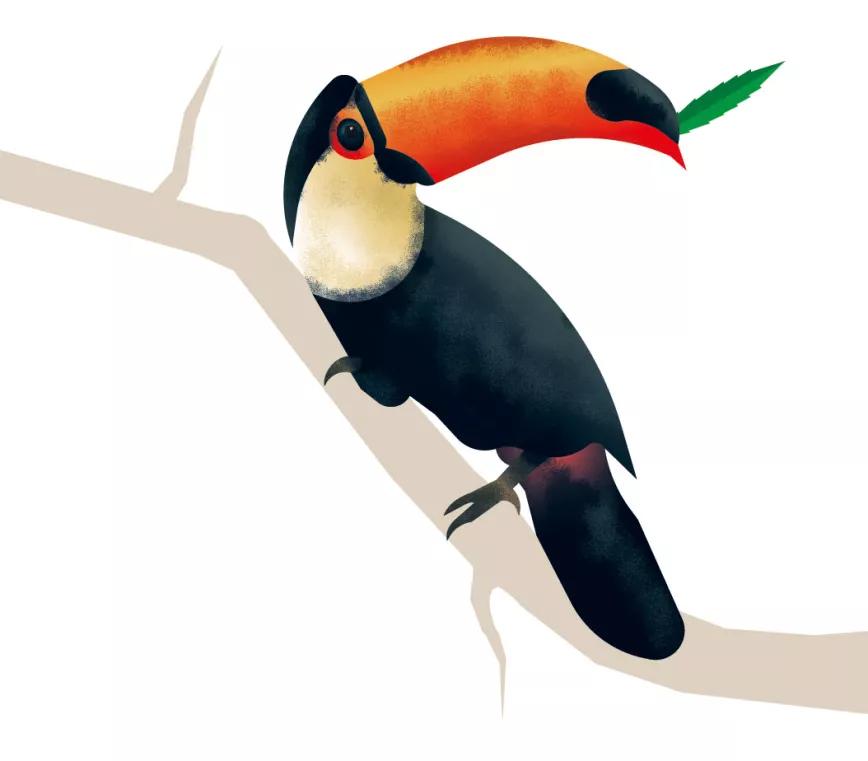 Feliz año cannábico y vacaciones tropicales exóticas