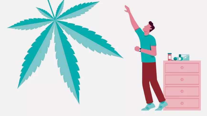 El futuro del cannabis medicinal en España (III: Formas de acceso)