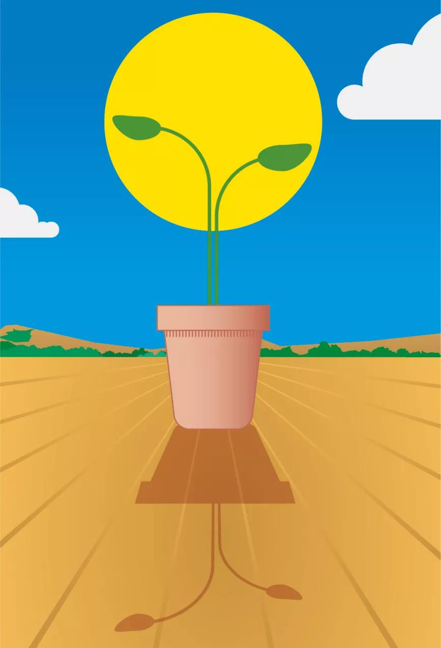 Lunario de junio del 2021 La exuberancia verde 