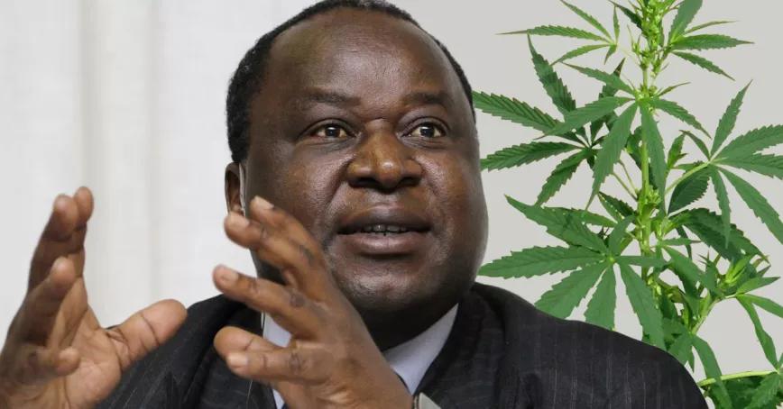 El ministro de Economía de Sudáfrica pide la regulación completa del cannabis