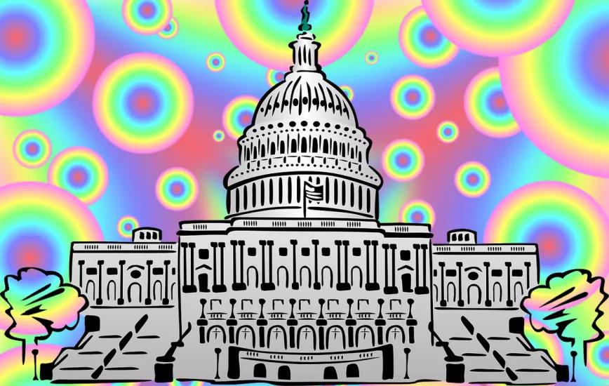 Un alto funcionario de EE UU dice que el Gobierno debería atender a las políticas de los psicodélicos