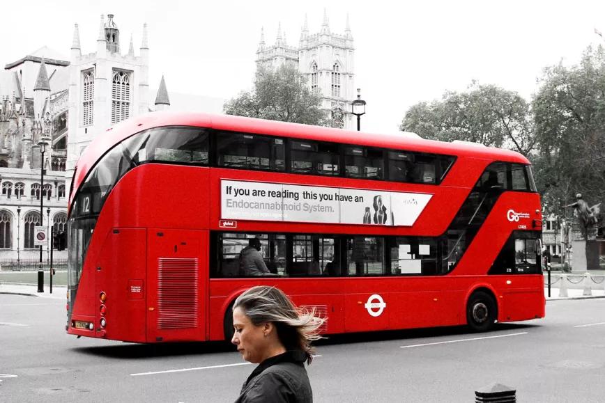 “Si estás leyendo esto tienes un sistema endocannabinoide”, anuncia una agencia británica 