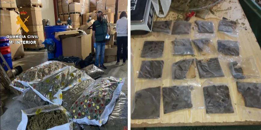 Detenida una banda que producía hachís autóctono en Alicante, dirigida por narco preso