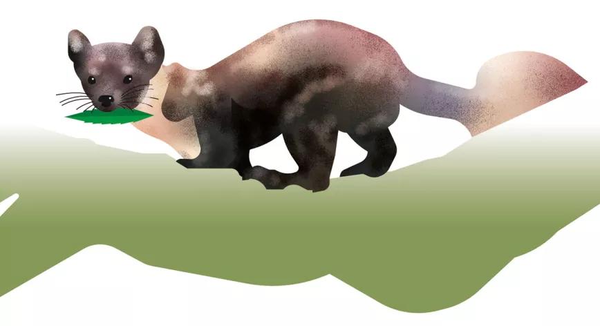 Una nueva enmienda cobra fuerza en California 