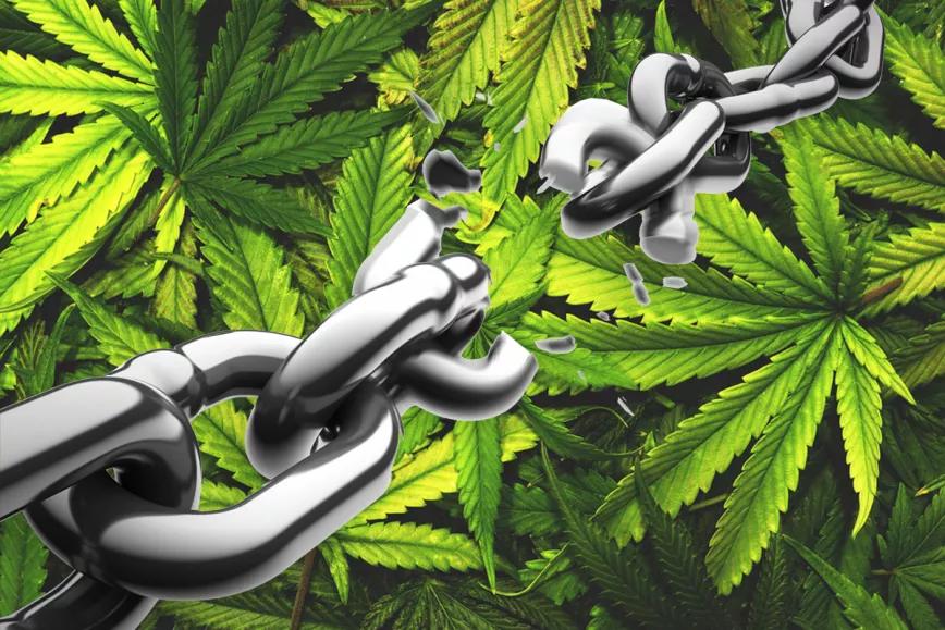 La Fiscal del Bronx archiva 6000 causas de delitos por marihuana