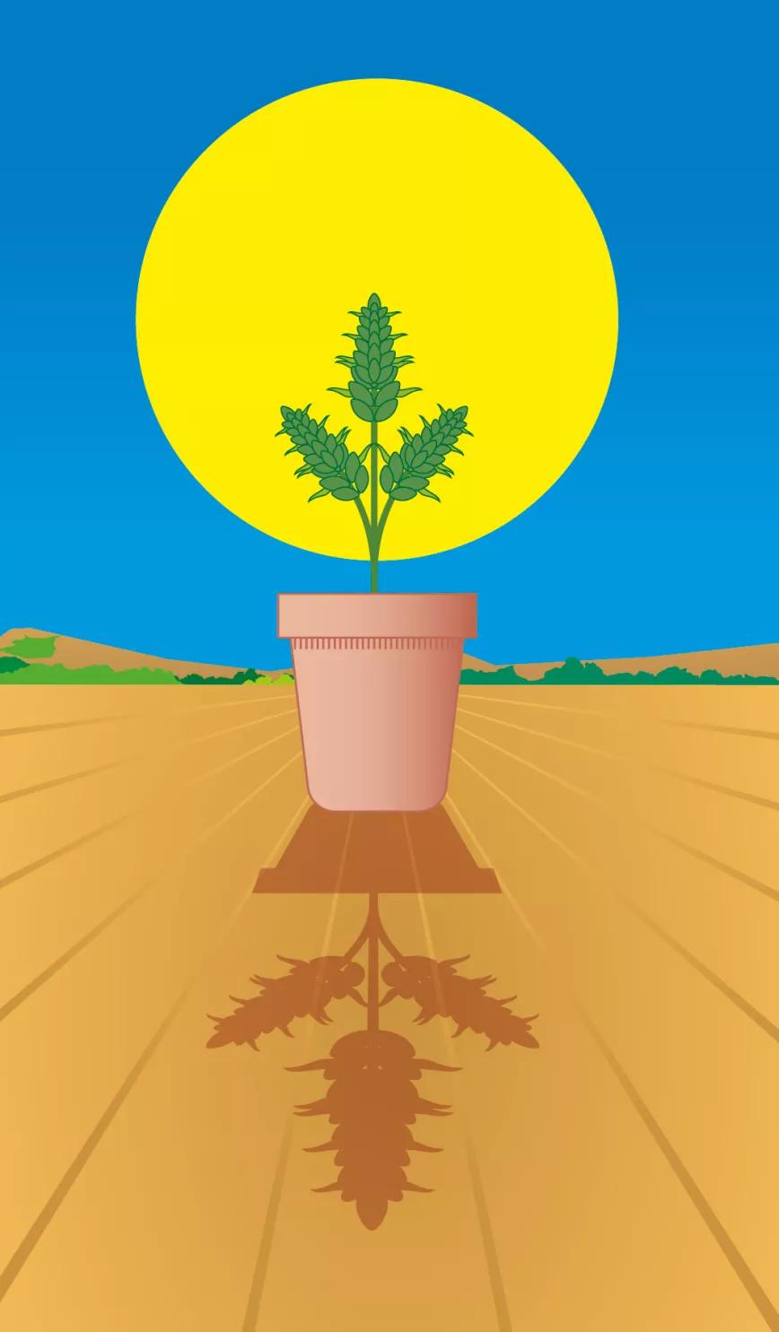 Lunario de julio del 2021