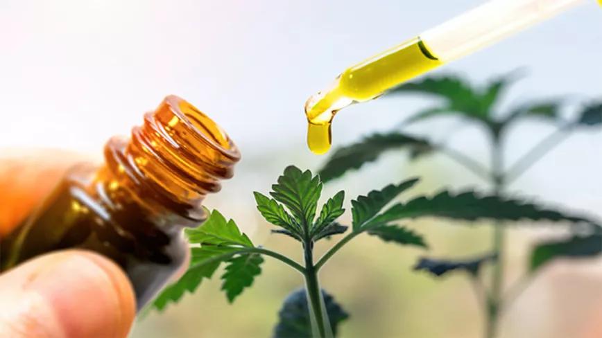 Lituania regula el uso y producción de CBD