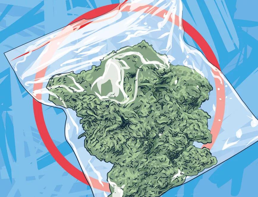 Conservación a largo plazo 