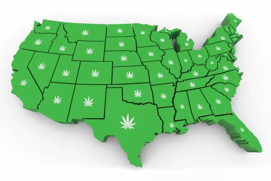 Hoy se presentará el borrador de una ley para regular el cannabis en EE UU
