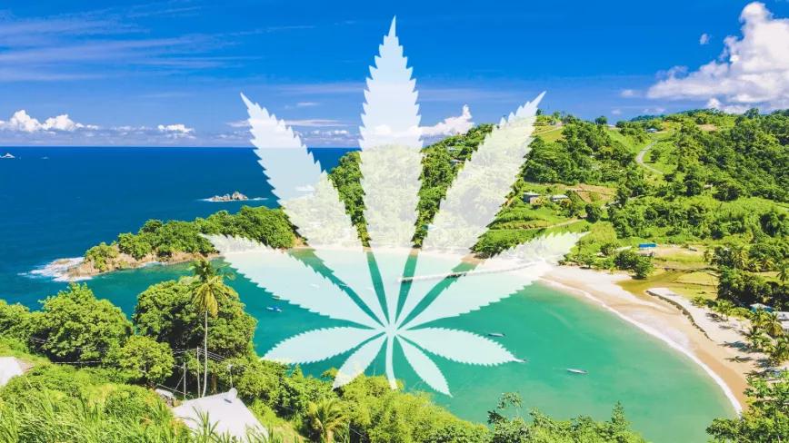 Trinidad y Tobago presenta el proyecto de regulación del cannabis medicinal e industrial
