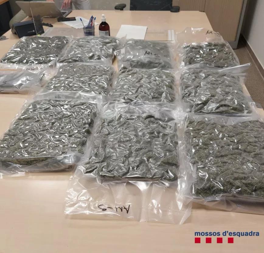 Una señora recibe un paquete de marihuana de un joven traficante por error y la policía lo apresa