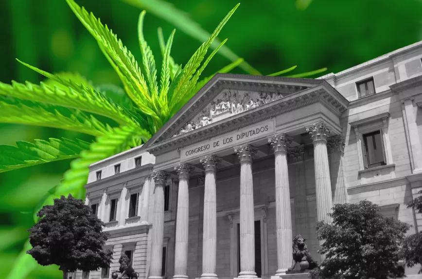 Propuestas legislativas y políticas sobre el cannabis en España, un resumen del año