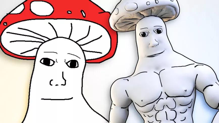 ShroomJak el hongo psicodélico que puebla la red con memes