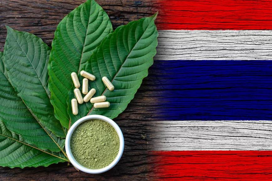 La despenalización del kratom en Tailandia entra en vigor